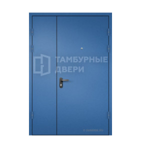Дверь входная тамбурная глухая в подъезд порошок — скелет эконом для дачи ТД-241
