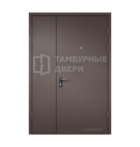 Дверь утепленная порошок ТД-253
