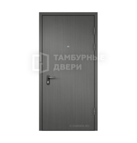 Дверь тамбурная ТД-35